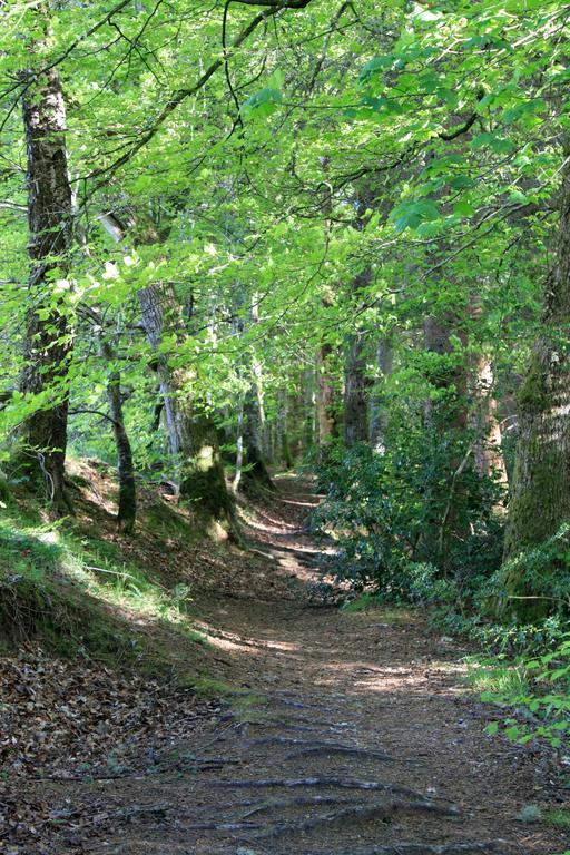 Craik Na Dav B&B Invermoriston Luaran gambar