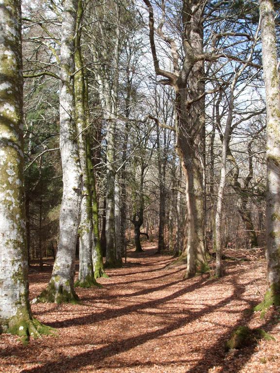 Craik Na Dav B&B Invermoriston Luaran gambar