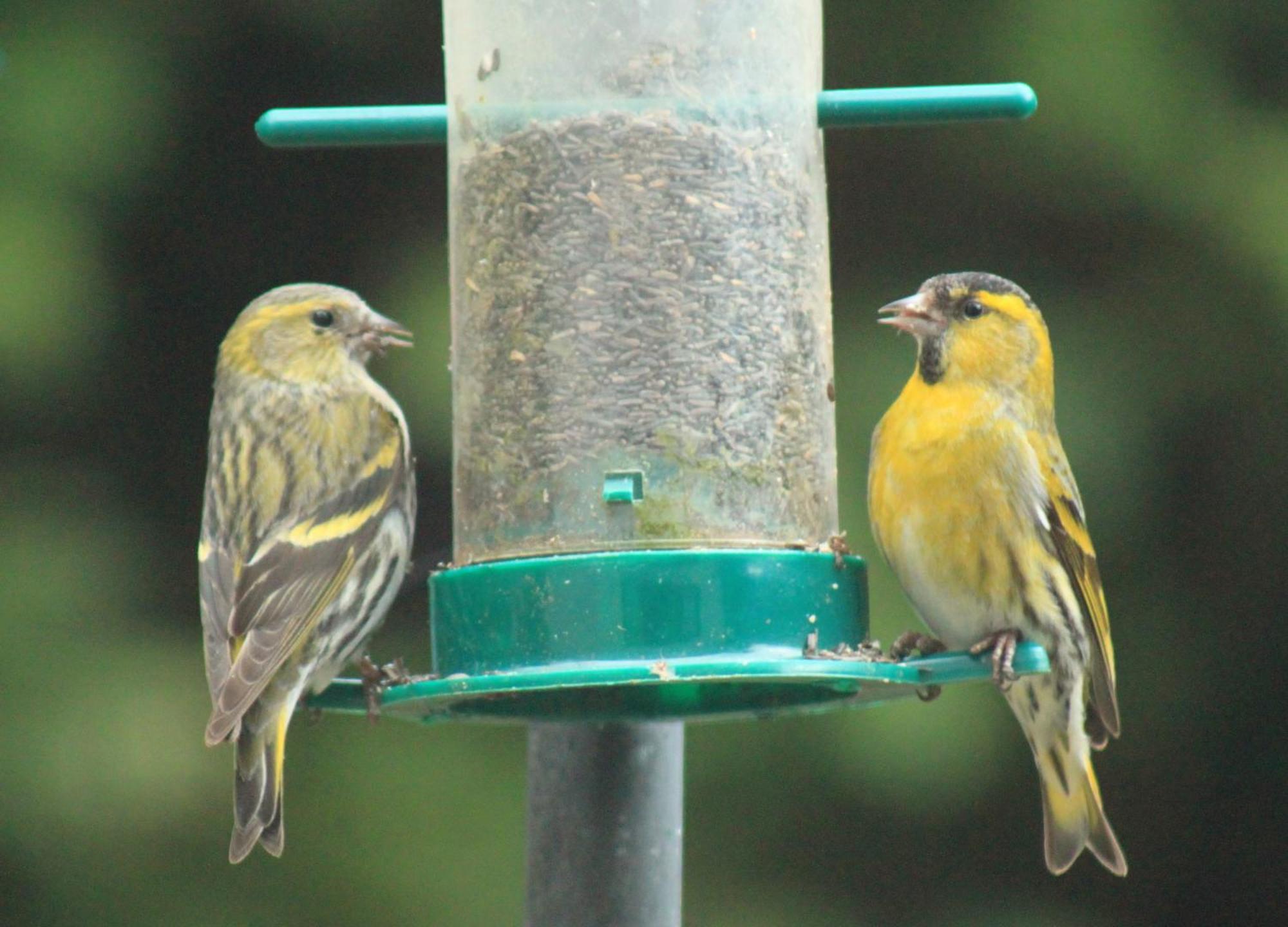 Craik Na Dav B&B Invermoriston Luaran gambar