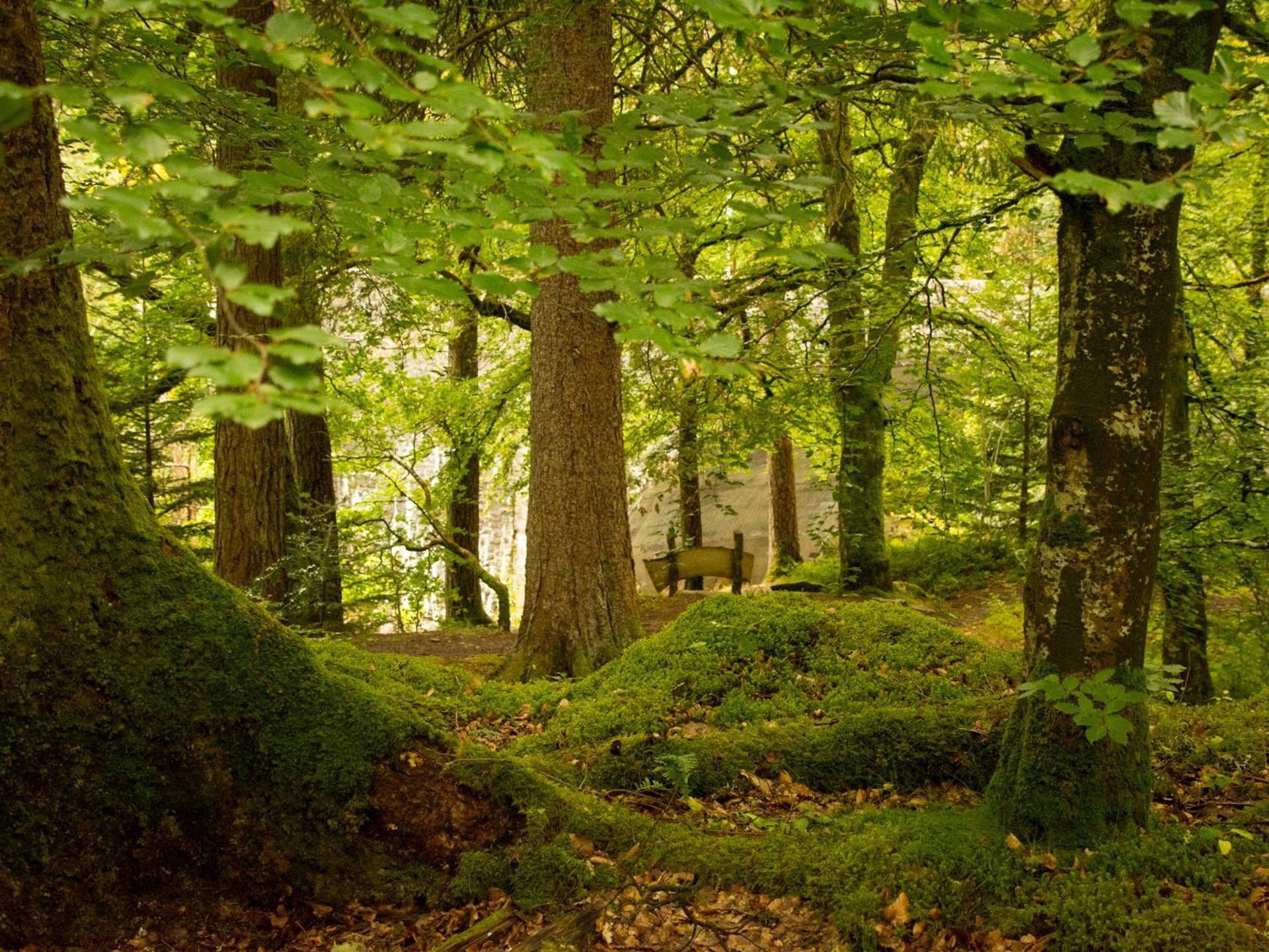 Craik Na Dav B&B Invermoriston Luaran gambar
