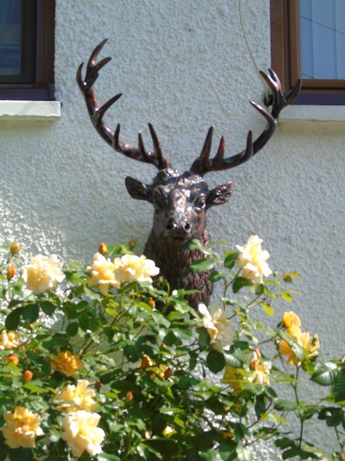 Craik Na Dav B&B Invermoriston Luaran gambar